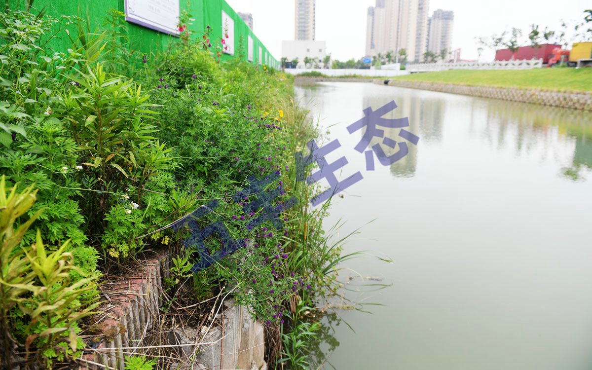 大圓柱電池模組-PACK 組裝線